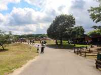 【栃木県】 那須の雄大な自然に暮らす動物たちの王国『那須どうぶつ王国』