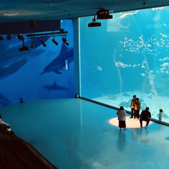 Seamlessly Integrated with Jeju's Eastern Coast Attractions