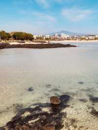 A Beach of Textures and Surprises