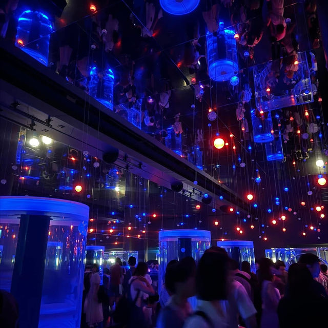 Maxell Aqua Park Shinagawa 🐡🐠🐟