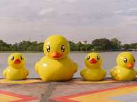หนองประจักษ์ศิลปาคม