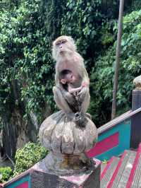 ［吉隆坡旅遊］黑風洞Batu Caves-印度教朝聖之地🪷馬來西亞必訪🐒