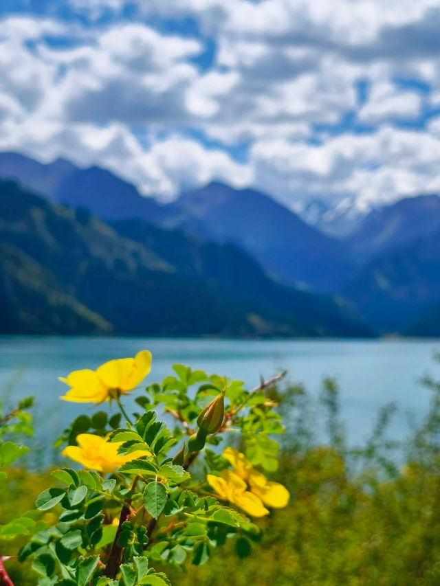 Tianshan Tianchi: A Priceless View with a Price Tag