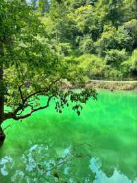 Beyond the Great Wall: China’s Best-Kept Secret for Nature Lovers
