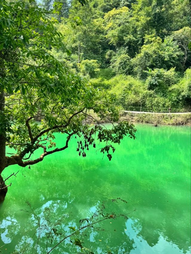 Beyond the Great Wall: China’s Best-Kept Secret for Nature Lovers