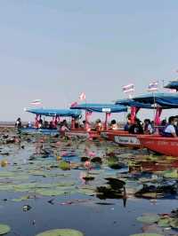 🪷Red Lotus Sea, Udonthani 🇹🇭