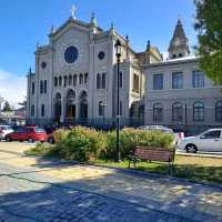 Exploring the Southern Charm of Punta Arenas