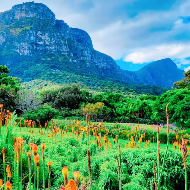 Kirstenbosch National Botanical Garden