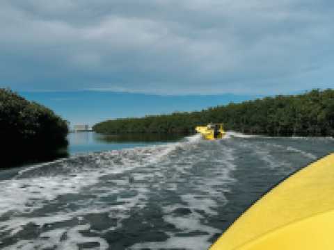 ์นธ์ฟค ์กํฐ๋นํฐ ํ์ ์ ๊ธ๋ณดํธ