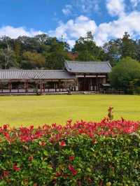 Tōdai-ji, Nara - Home of the Great Buddha and Sacred Deer
