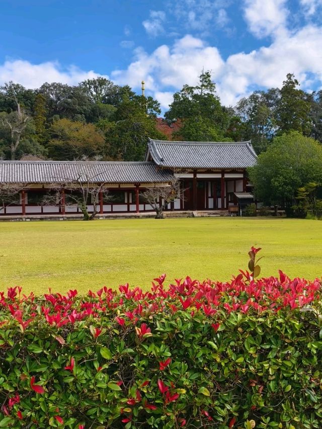 Tōdai-ji, Nara - Home of the Great Buddha and Sacred Deer