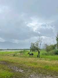 Lugu Lake: Where the Sky Falls into Water