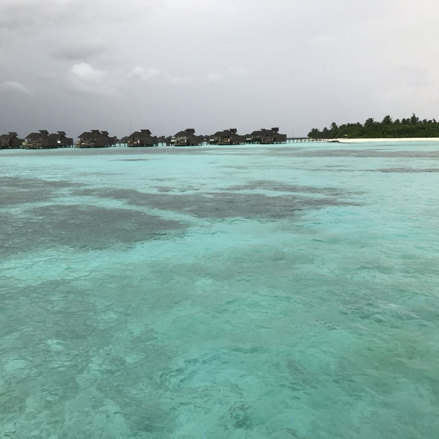 🏝️ Six Senses Maldives สวรรค์กลางทะเลสีฟ้าใส 🏝️ Six Senses Maldives สวรรค์กลางทะเลสีฟ้าใส