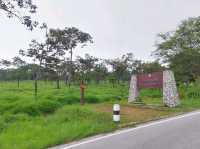 อุทยานแห่งชาติป่าหินงาม ชัยภูมิ