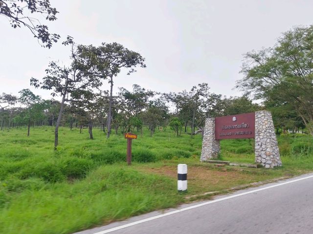 อุทยานแห่งชาติป่าหินงาม ชัยภูมิ อุทยานแห่งชาติป่าหินงาม ชัยภูมิ