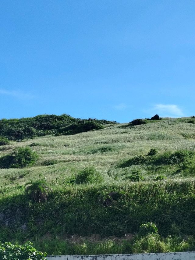 Longpan Park: Kenting’s Panoramic Chill Spot 🌊✨ Longpan Park: Kenting’s Panoramic Chill Spot 🌊✨