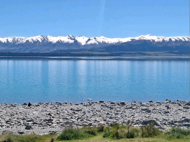 Lake Pukaki 🏞️
