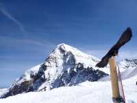📍Grindelwald & First, Switzerland — A Journey into Alpine Magic