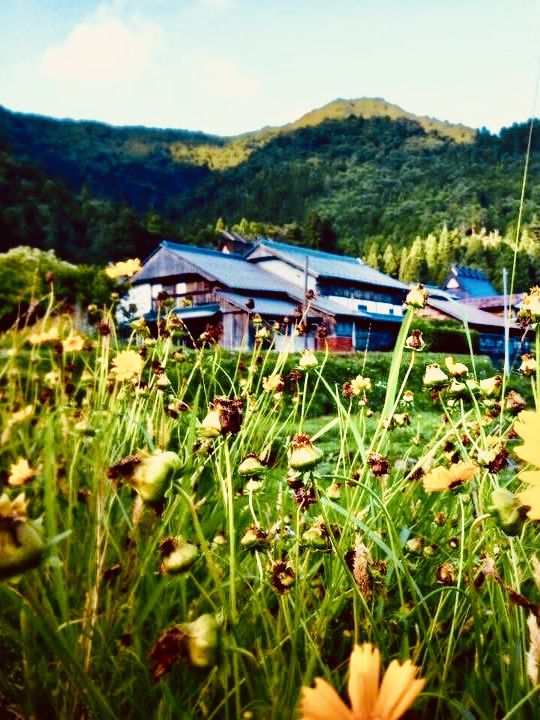 🏡「時光慢下來，走進茅草屋的田園故事。」