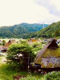 🏡「時光慢下來，走進茅草屋的田園故事。」