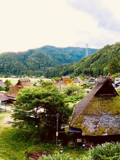 🏡「時光慢下來，走進茅草屋的田園故事。」
