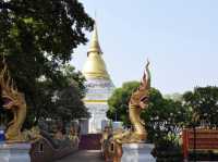 วัดพระแก้วดอนเต้าสุชาดาราม  ลำปาง