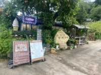 Yangdong Folk Village,