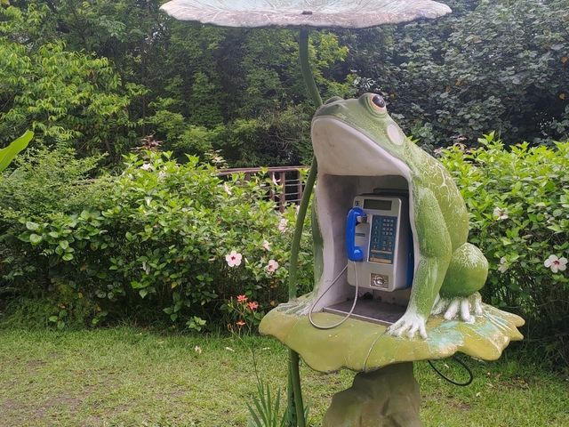 台北都市綠洲--「台北植物園」! 台北都市綠洲--「台北植物園」!