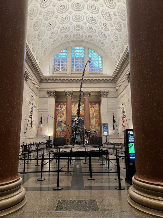 ［紐約旅行］紐約自然歷史科學博物館American Museum of Natural History🦴晚上會活起來的博物館