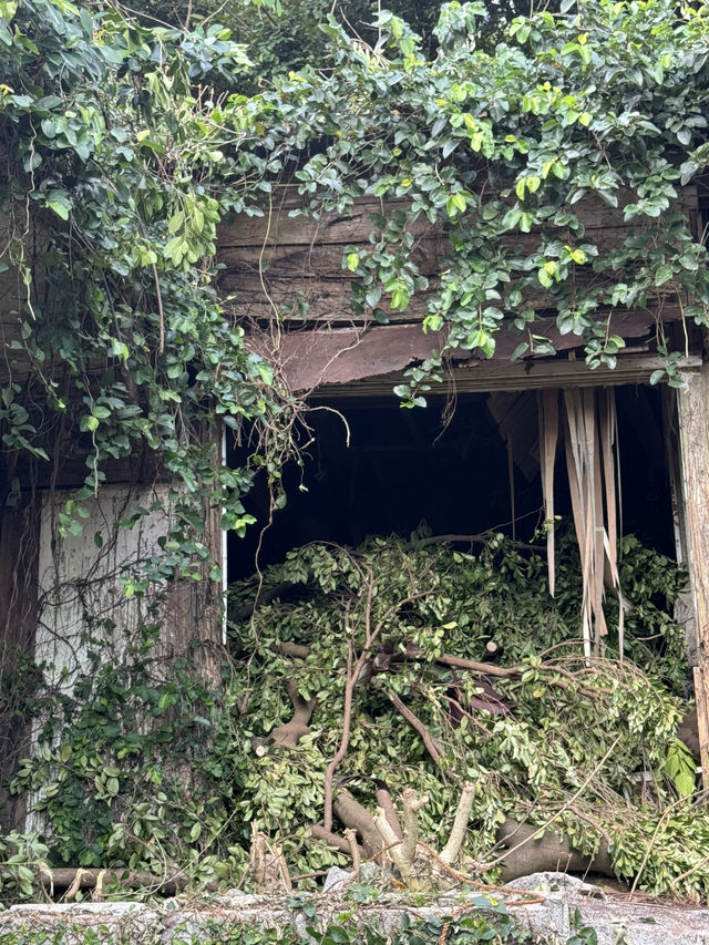 日本沖繩｜安里八幡宮——城市街角的靜謐神社，凝望歲月與庇佑的守護之地