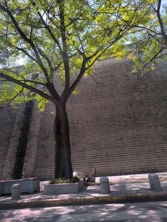 แจกแพลนเที่ยวซีอาน 🪷 เมืองแห่งประวัติศาสตร์จีน