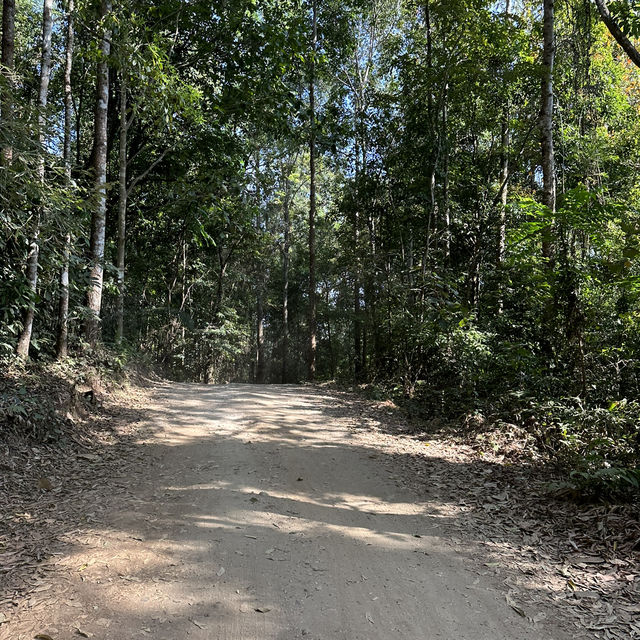 🌳 วัดหลวงขุนวิน จุดหมายปลายทางสำหรับสายสงบ
