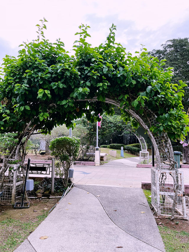 Taman Putra Perdana: Perfect Park for Relaxation, Exercise, and Instagram-Worthy Moments 