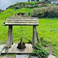 Stepping Into the Shire at Hobbiton