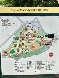 ✨Maruyama Zoo สวนสัตว์ที่เดินทางง่ายใน Sapporo✨