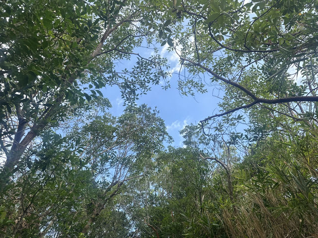 城市綠走廊：連繫黃竹坑與自然秘境