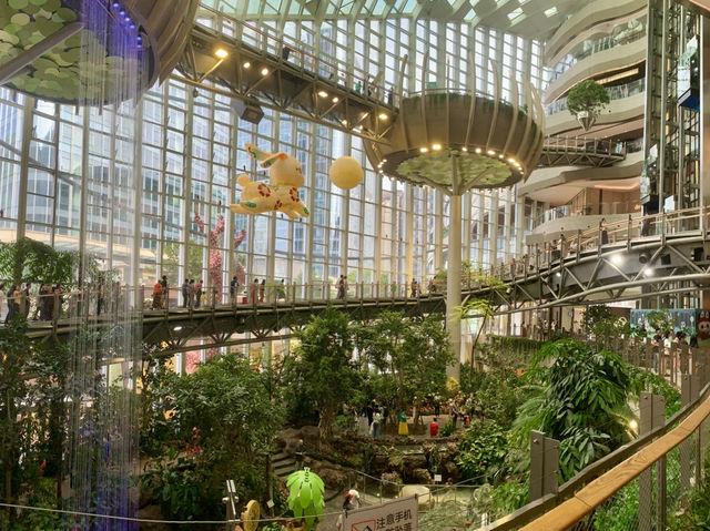 Shopping Spree in ChongQing: Mall Madness & Epic Eats 🛍️🍲