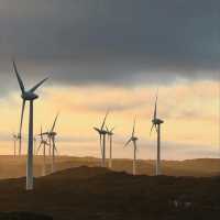 The Albany Wind Farm