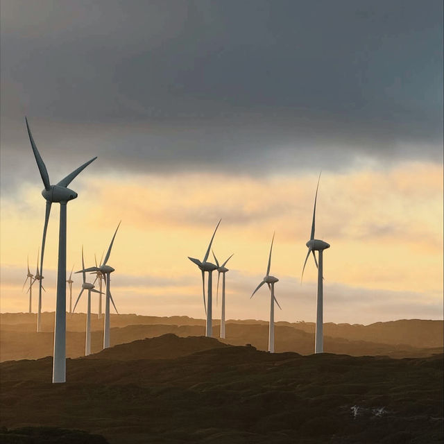 The Albany Wind Farm