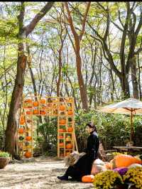 ハロウィンに染まった🎃ニコライバーグマン箱根ガーデン