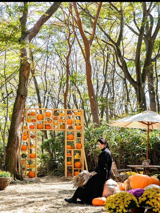 ハロウィンに染まった🎃ニコライバーグマン箱根ガーデン