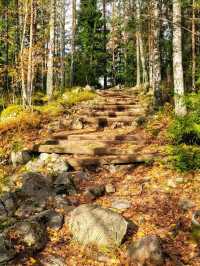 🌲 Nuuksio National Park – Finland’s Wild Heart, Just Minutes from Helsinki