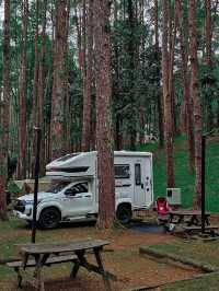 ⛺️ ลานกางเต็นท์ ดงสน | ดอยอินทนนท์