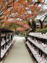 🍁 Autumn Serenity at Gotokuji Temple