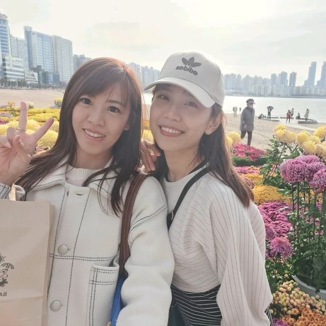 釜山🇰🇷廣安大橋🌁海濱咖啡街～花海片片