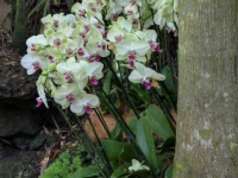 Fairchild Tropical Botanic Garden