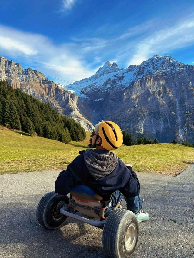 Swiss Peaks Dream🍂