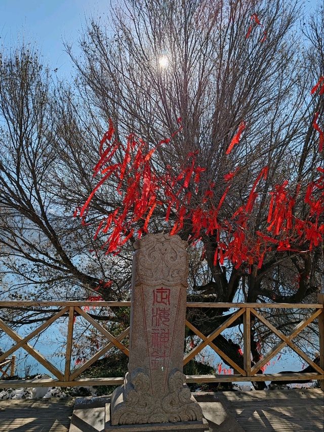 The Divine Tree "Sea-Calming Needle": A Wellspring of Energy The Divine Tree "Sea-Calming Needle": A Wellspring of Energy