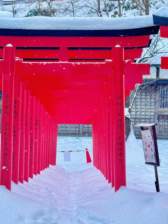 โ๏ธ๐๏ธ ์คํ๋ฃจ ๊ฒจ์ธ์ฌํ ๊ฐ์ด๋ (Otaru Winter Trip) โ๏ธ๐๏ธ ์คํ๋ฃจ ๊ฒจ์ธ์ฌํ ๊ฐ์ด๋ (Otaru Winter Trip)