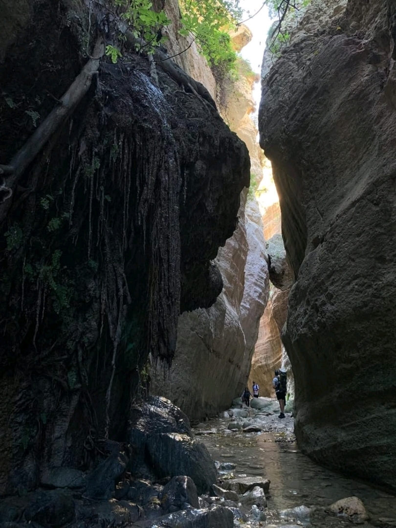 Dramatic Cliffs and Scenic Trails at Avakas Gorge